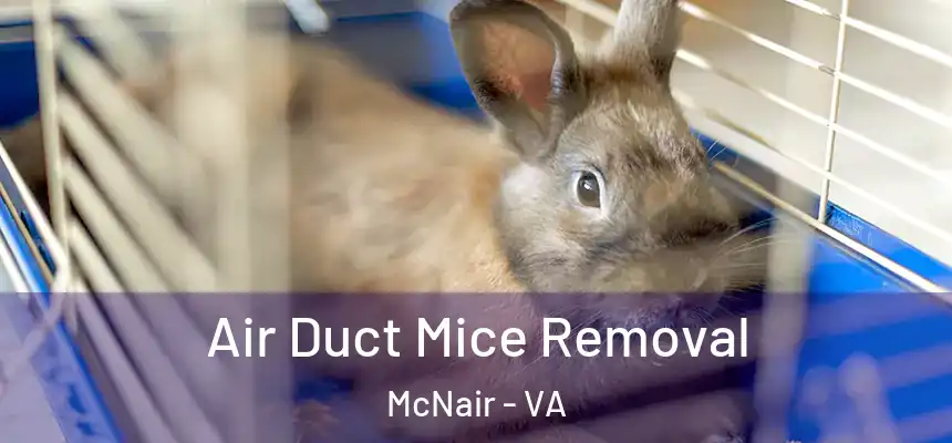  Air Duct Mice Removal McNair - VA