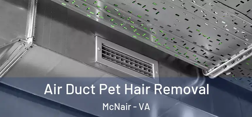  Air Duct Pet Hair Removal McNair - VA