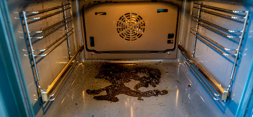 Our Dryer Vent Mold Cleaning Services in McNair, VA