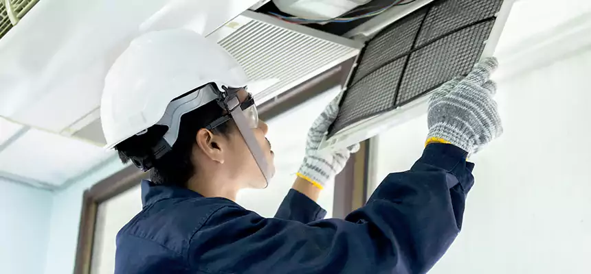 Our Mold & Mildew Removal from Air Ducts Services in McNair, VA