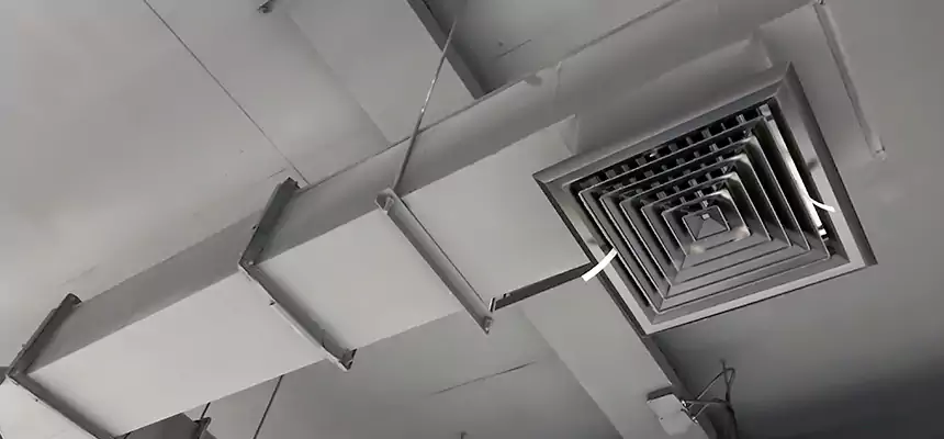 Our Rodent Droppings In Vents Services in McNair, VA