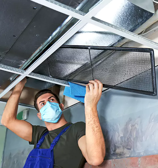 About Air Duct Bacteria Removal in McNair