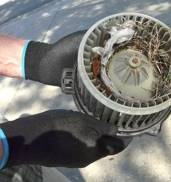 About Air Duct Mice Removal in McNair, VA